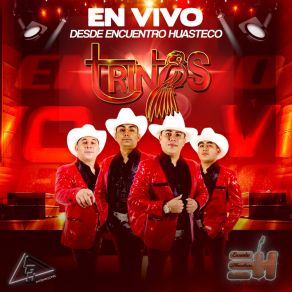 Download track No Me Dejes De Amar (En Vivo) Los Trinos