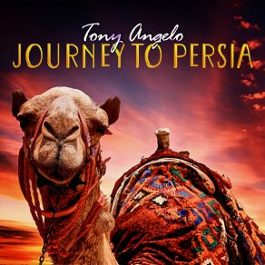 Download track Daybreak Tony Angelo