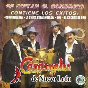 Download track Amor Añejo Los Cardenales De Nuevo Leon