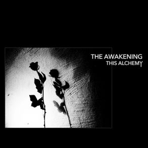 Download track A Victory Of Love Awakening