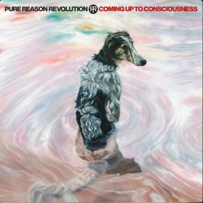 Download track Interlude 2 Pure Reason Revolution