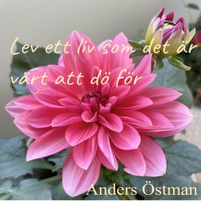 Download track Carpe Diem Anders Östman