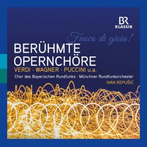 Download track Der Fliegende Holländer, WWV 63 Steuermann, Lass Die Wacht Chor Des Bayerischen Rundfunks, Münchner Rundfunkorchester, Ivan Repusic