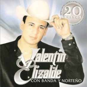 Download track Voy A Vengarme De Ti Valentin Elizalde