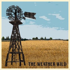 Download track Melvin S. The Weather Wild