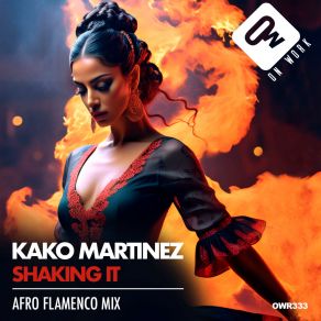 Download track Shaking It (Afro Flamenco Mix) Kako Martinez