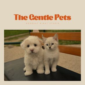 Download track Cove's Comfortable Corner Music For Pets Library