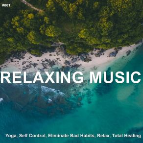 Download track Soothing Peace Relaxing Music Therapy