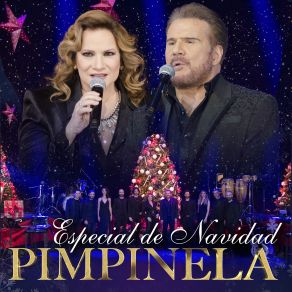 Download track Cien Años De Soledad Pimpinela