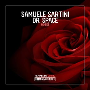 Download track Roses (Qubiko Remix) Dr. SpaceQubiko