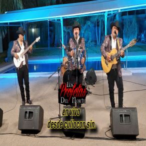 Download track El Año Nuevo (En Vivo) Los Profetas Del Norte