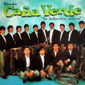 Download track Hasta Cuando Chaparrita Banda Caña Verde