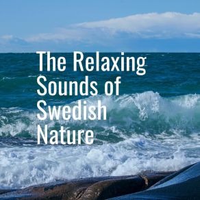 Download track Rolling Waves The Relaxing Sounds Of Swedish Nature