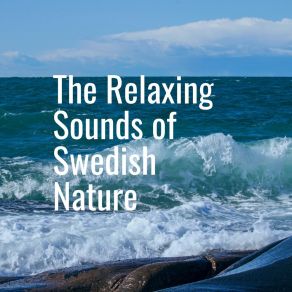 Download track Calming Ocean Waves The Relaxing Sounds Of Swedish Nature