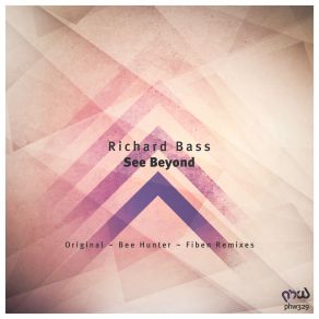 Download track See Beyond (Bee Hunter Remix) Richard Bass