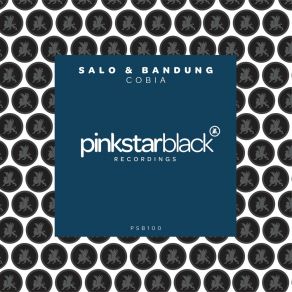 Download track Cobia (Original Club Mix) Salo