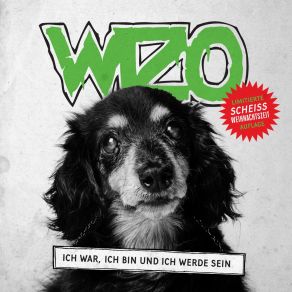 Download track Ich War, Ich Bin Und Ich Werde Sein Wizo