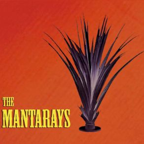 Download track Agave The Mantarays