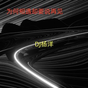 Download track 为何相遇却要说再见 (伴奏) DJ杨洋