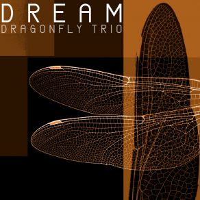 Download track Dream (Instrumental) Dragonfly TrioΟΡΓΑΝΙΚΟ