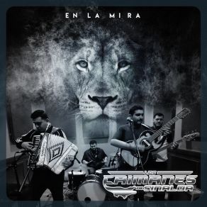 Download track El Comerciante Los Caimanes De Sinaloa