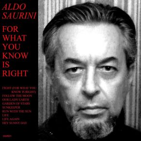 Download track Follow The Moon Aldo Saurini