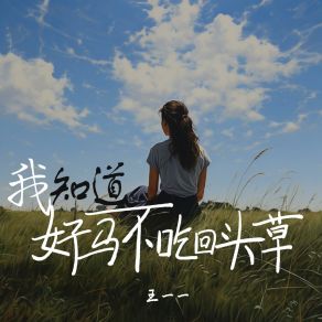 Download track 我知道好马不吃回头草 王一一