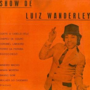 Download track Mineiro Macho Luiz Wanderley