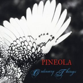 Download track A Little Bit Of Blue Sky Pineola