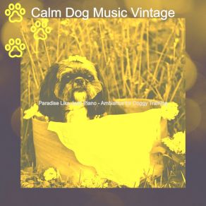 Download track Glorious Moods For Calming Pups Calm Dog Music Vintage