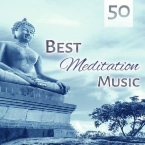 Download track Healing Flute Meditation Meditation Music Zone