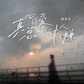 Download track 真心的爱总是讨人嫌 (伴奏) 郭小美