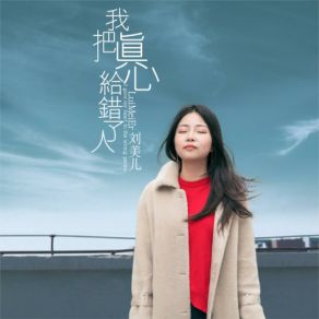 Download track 我把真心给错了人 (DJ版伴奏) 刘美儿何鹏