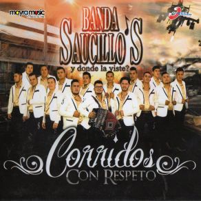 Download track Asi Te Soñe Banda Saucillos