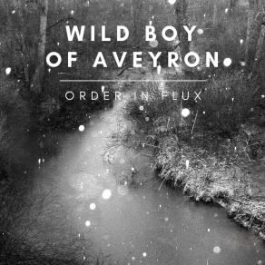 Download track While I Breathe, I Hope Wild Boy Of Aveyron