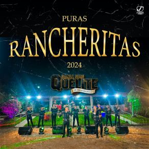 Download track Al Ver Que Te Vas Banda Puro Quelite