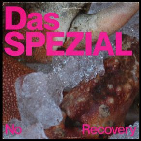 Download track No Recovery (Instrumental) Das SPEZIALThe Instrumental