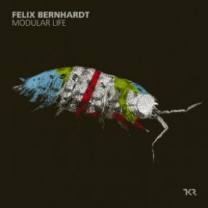 Download track Plasma Pipes Felix Bernhardt