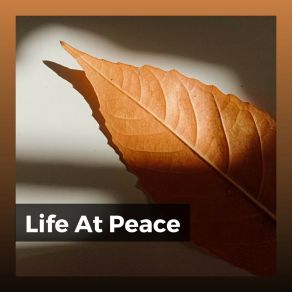 Download track Life In The Ambient World ZenLifeRelax