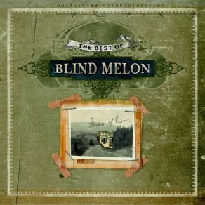 Download track Thank You [Live At MTV Awards 2001]  Blind Melon