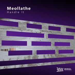 Download track Handle It (Original Mix) Meollathe