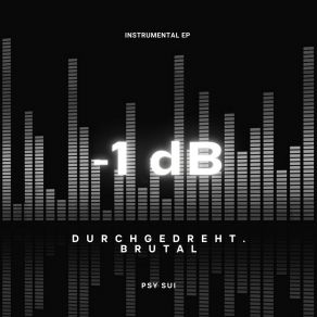 Download track -1 DB (Instrumental) Psy Sui