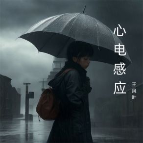 Download track 从不曾更改 王风叶