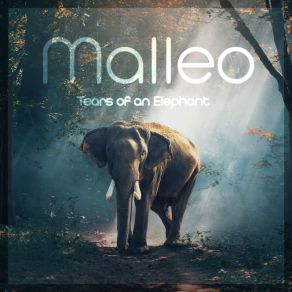 Download track Tears Of An Elephant Malleo