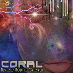 Download track Well Oiled Machine The Coral