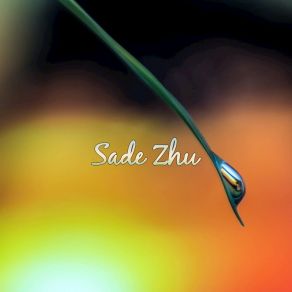 Download track To Portfolio Sade Zhu