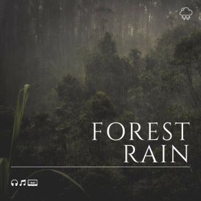Download track Rain For Transcendental Meditation, Pt. 13 Rain Sounds
