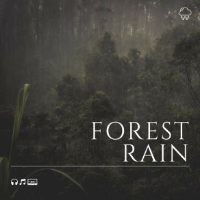 Download track Rain For Transcendental Meditation, Pt. 7 Rain Sounds