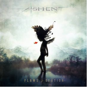 Download track A Puzzled Sentiment Ashent, Steve Braun