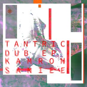 Download track Tantric Dub (Original Mix) Kamron Saniee